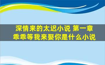 深情来的太迟小说 第一章乖乖等我来娶你是什么小说